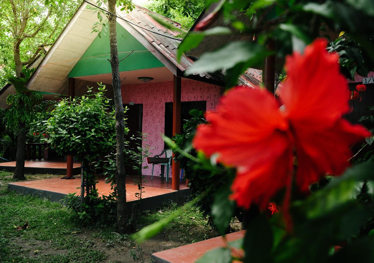 Coral Bungalows Haad Rin Eksteriør bilde